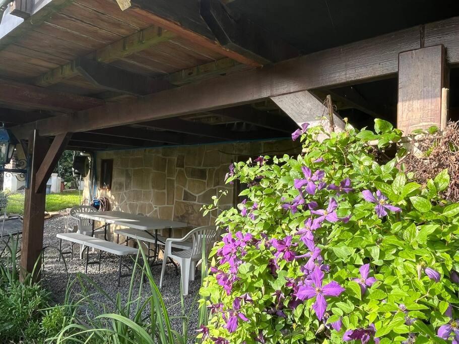 Studio Renove Rdc Terrasse Wepion Namur Eksteriør bilde