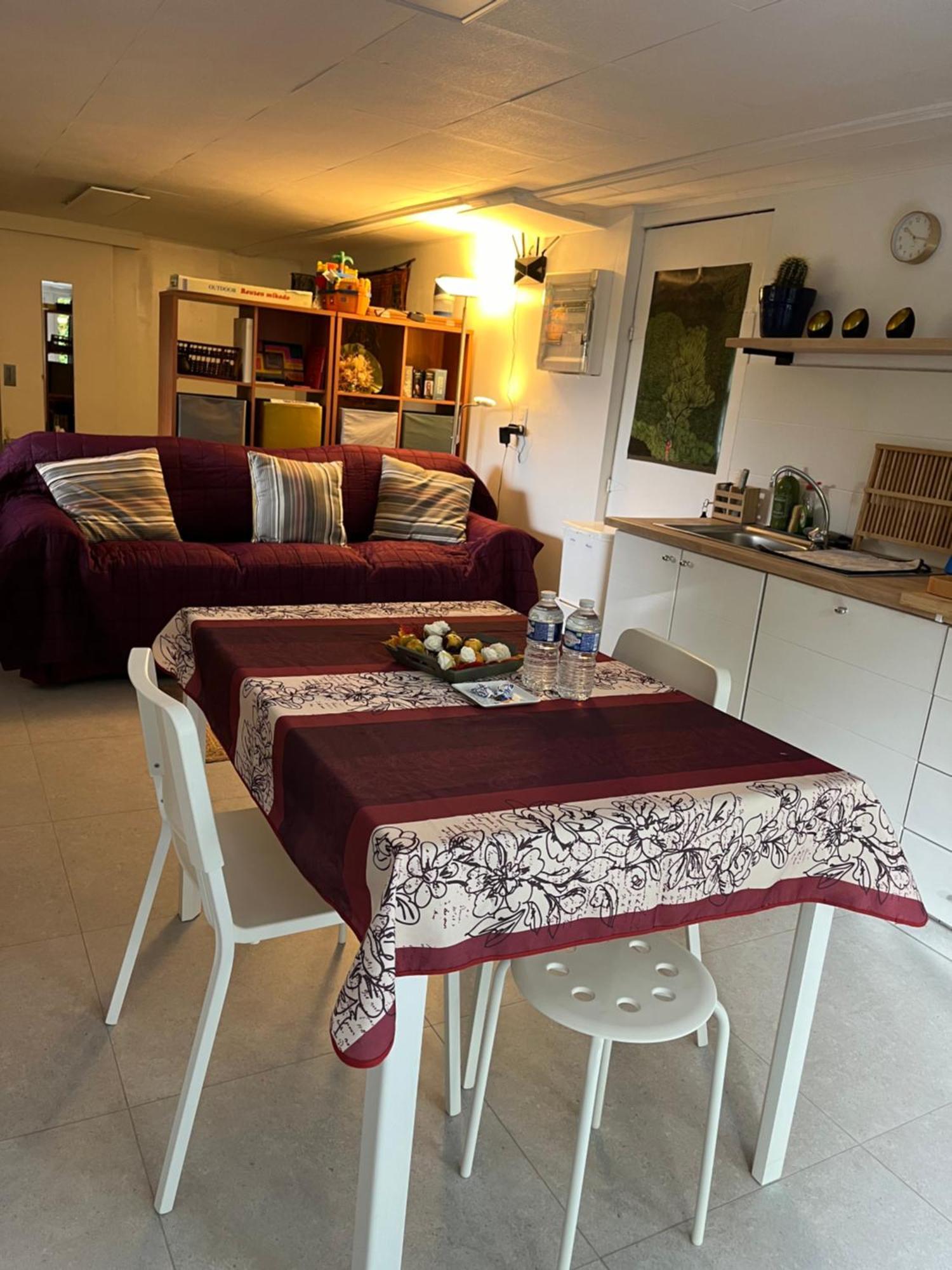 Studio Renove Rdc Terrasse Wepion Namur Eksteriør bilde